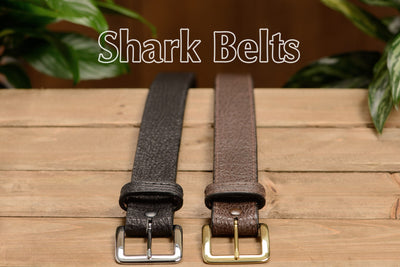 Black Shark Belt - Bullhide Belts