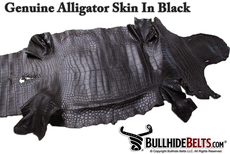 Genuine alligator skin in black by Bullhide Belts
