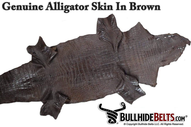 Black Alligator Passport Wallet - Bullhide Belts