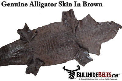 Brown Alligator Money Clip Wallet With Credit Card Slots - Bullhide Belts