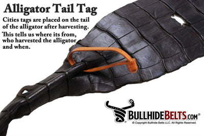 Black Alligator Passport Wallet - Bullhide Belts