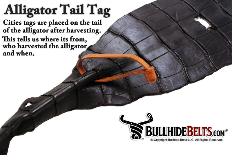 Orange alligator tail tag by Bullhide Belts