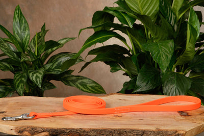 Neon Orange Hercules 6 Foot Dog Leash - Bullhide Belts