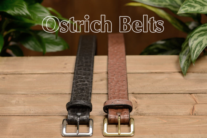 Black South African Ostrich Skin Money Belt With 25" Zipper - Bullhide Belts