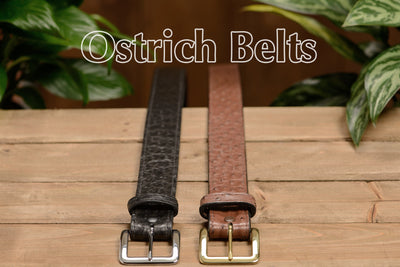 Black South African Ostrich Skin Belt - Bullhide Belts
