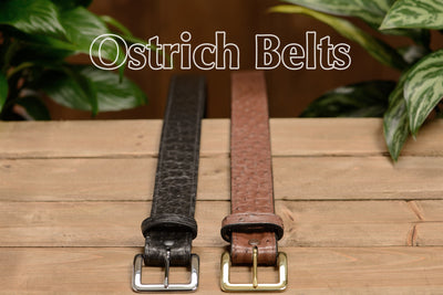 Brown South African Ostrich Skin Money Belt With 25" Zipper - Bullhide Belts