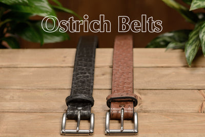 Brown South African Ostrich Skin Max Thickness Gun Belt - Bullhide Belts